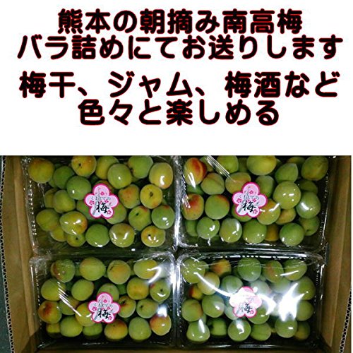Amazon.co.jp: 南高梅 サイズL 箱込10キロ（9kg+保証分500g） 熊本